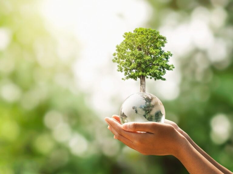 Hand hält Glaskugel mit wachsendem Baum und grüner Natur